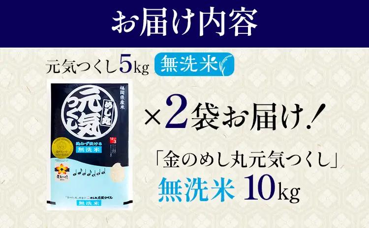 【無洗米】令和7年産 金のめし丸 元気つくし 精米 10kg（5kg×2） 米 無洗米 元気つくし 森光商店 老舗 福岡 お米 ごはん ご飯 お弁当 おにぎり 金のめし丸県産米 福岡ブランド米 めし丸