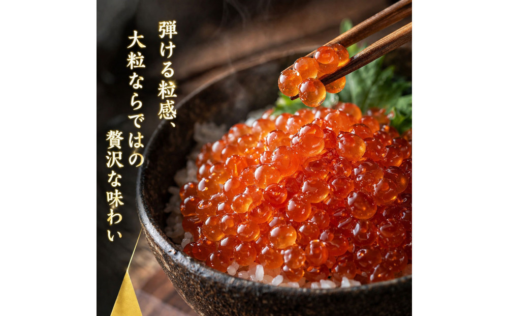 いくら 醤油漬け(80g×1P) 北海道 鮭卵 訳あり 冷凍 尾張まるはち