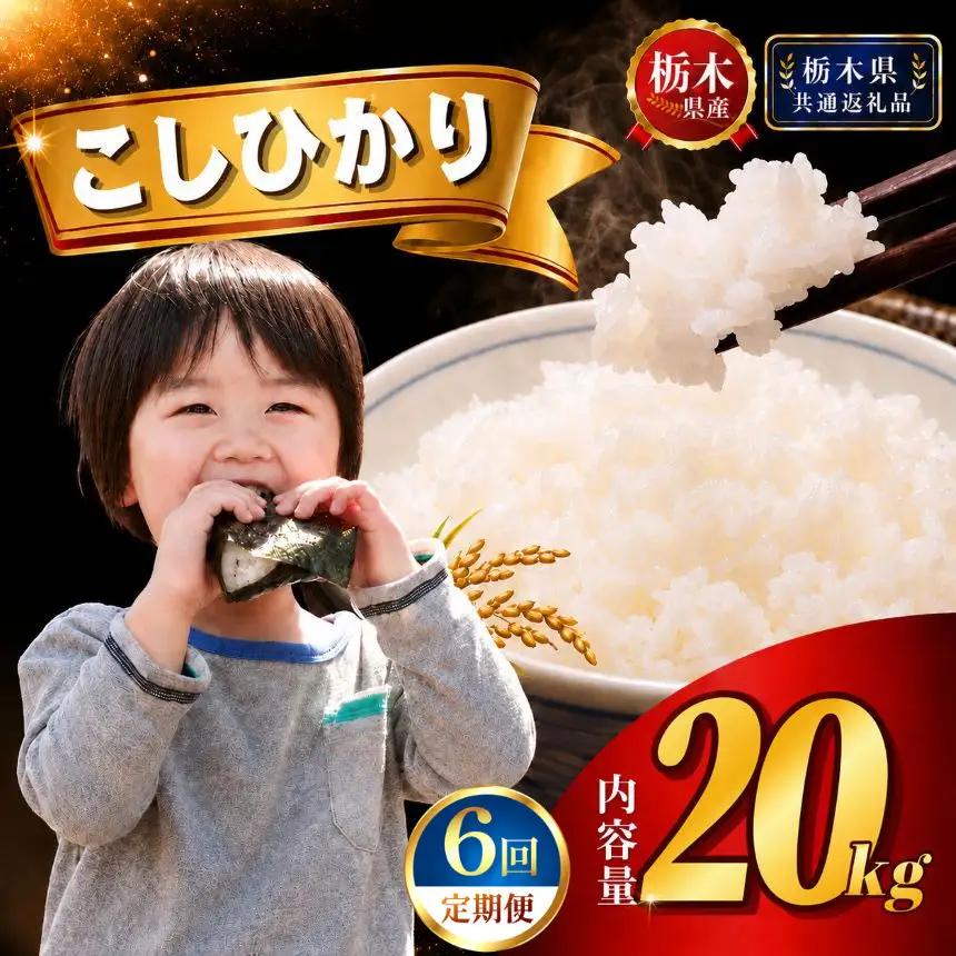 【新米】定期便6回 特Aこしひかり 20kg(5kg×4袋)【栃木県共通返礼品 栃木県産】AB | 栃木県 下野市