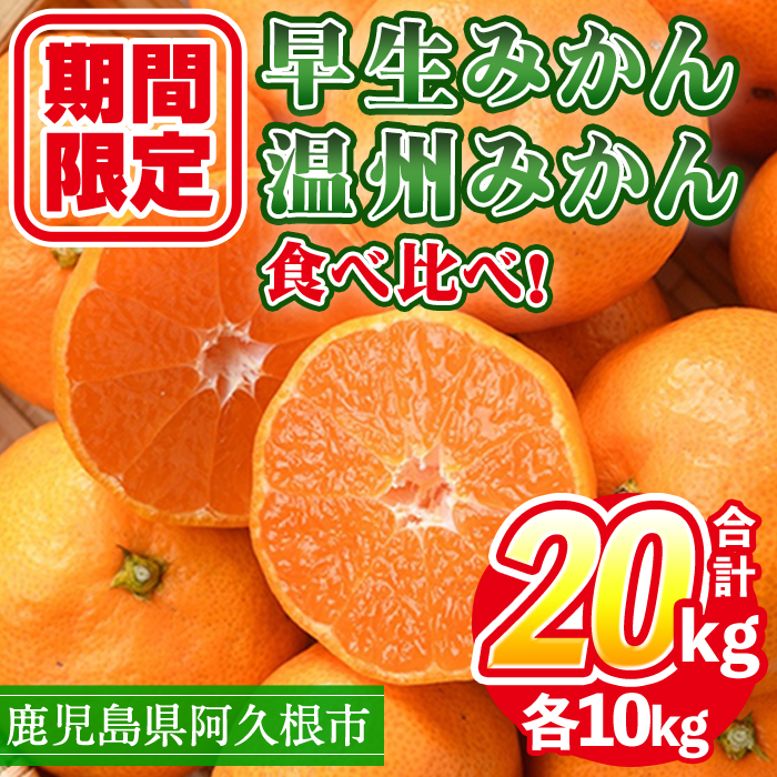 ＜2026年12月上旬以降順次発送予定＞  数量限定！早生・温州ミカン食べ比べセット(合計20kg・各10kg) 国産 フルーツ 果物 蜜柑 柑橘【三笠農業生産】akn051-14