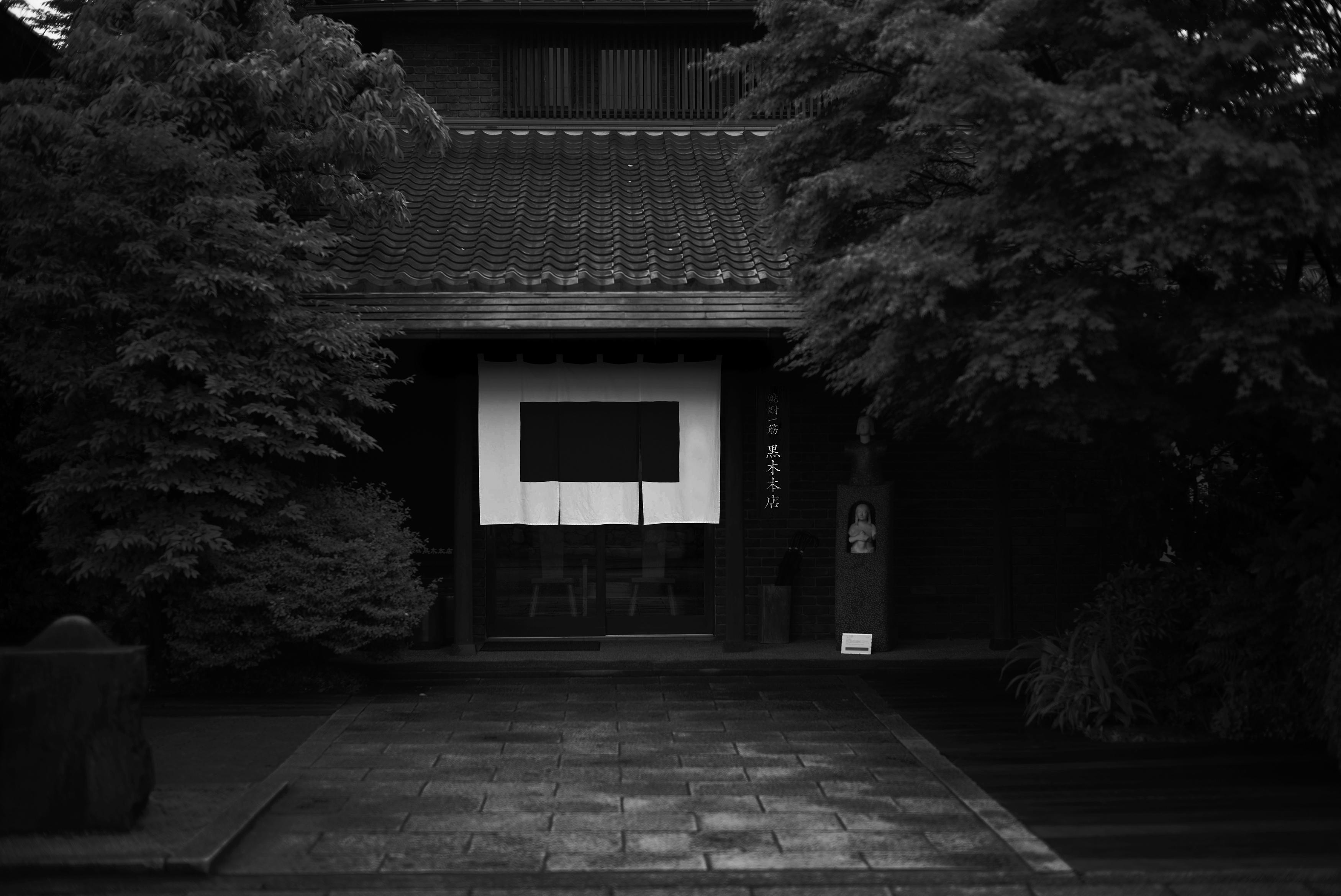 【JAL限定】＜百年の孤独 720ml×1本 おひとり様1本まで＞翌月末迄に順次出荷 お酒 焼酎 本格焼酎 アルコール分40% 貯蔵酒 黒木本店