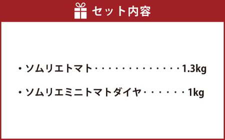 【 食べ比べ 】ソムリエ トマト 1.3kg と ソムリエ ミニトマト ダイヤ 1kg の セット 合計2.3kg 2種 とまと 野菜 やさい 熊本県産 国産 【2025年2月上旬発送開始】