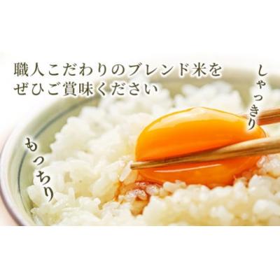 ふるさと納税 甲佐町 令和7年産新米【定期便3ヶ月】無洗米10kg【配送指定可】【ZI】 |  | 03