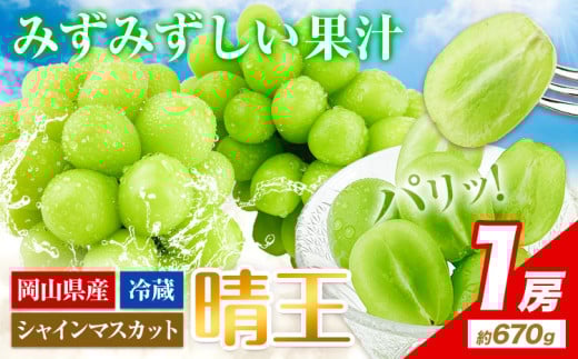 シャインマスカット 岡山県産【2026年先行予約】 シャインマスカット 晴王 1房(約670g)《2026年9月上旬-10月末頃出荷(土日祝除く)》ハレノフルーツ マスカット 送料無料 岡山県 浅口市 フルーツ 果物 贈り物 ギフト 国産 岡山県産 くだもの 青果物 【配送不可地域あり】
