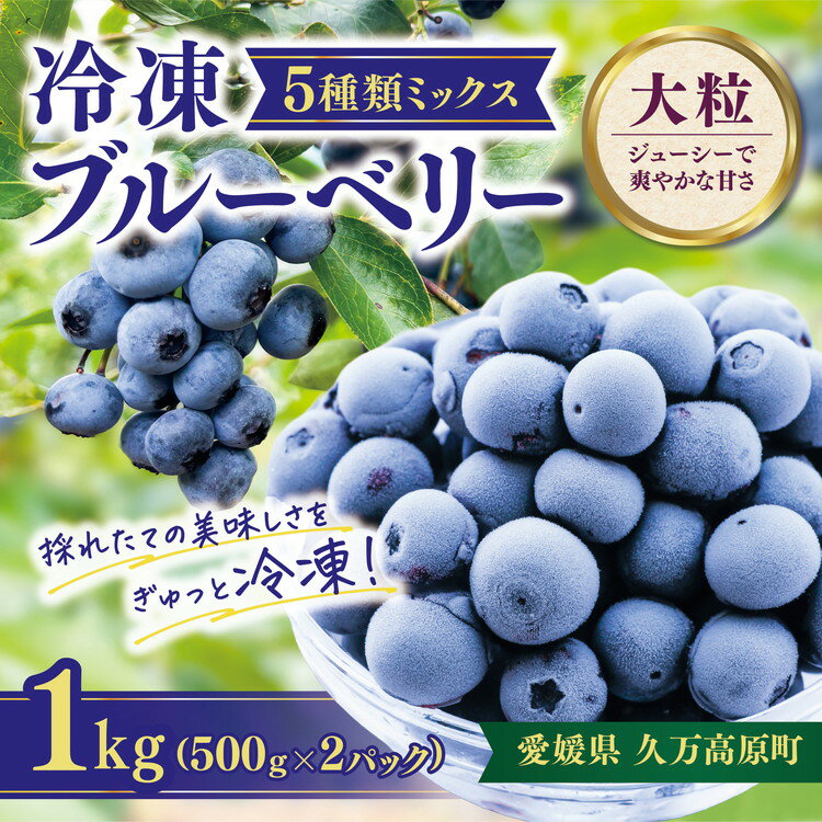 【ふるさと納税】【先行予約】冷凍 ブルーベリー 大粒 1kg (500g×2パック) 5種類ミックス | 国産 愛媛県 久万高原町 農園直送 栽培期間中 農薬不使用 果実 フルーツ 果物 くだもの 朝食 ヨーグルト スムージー ビタミンC 食物繊維 ※2026年8月上旬頃より順次発送予定