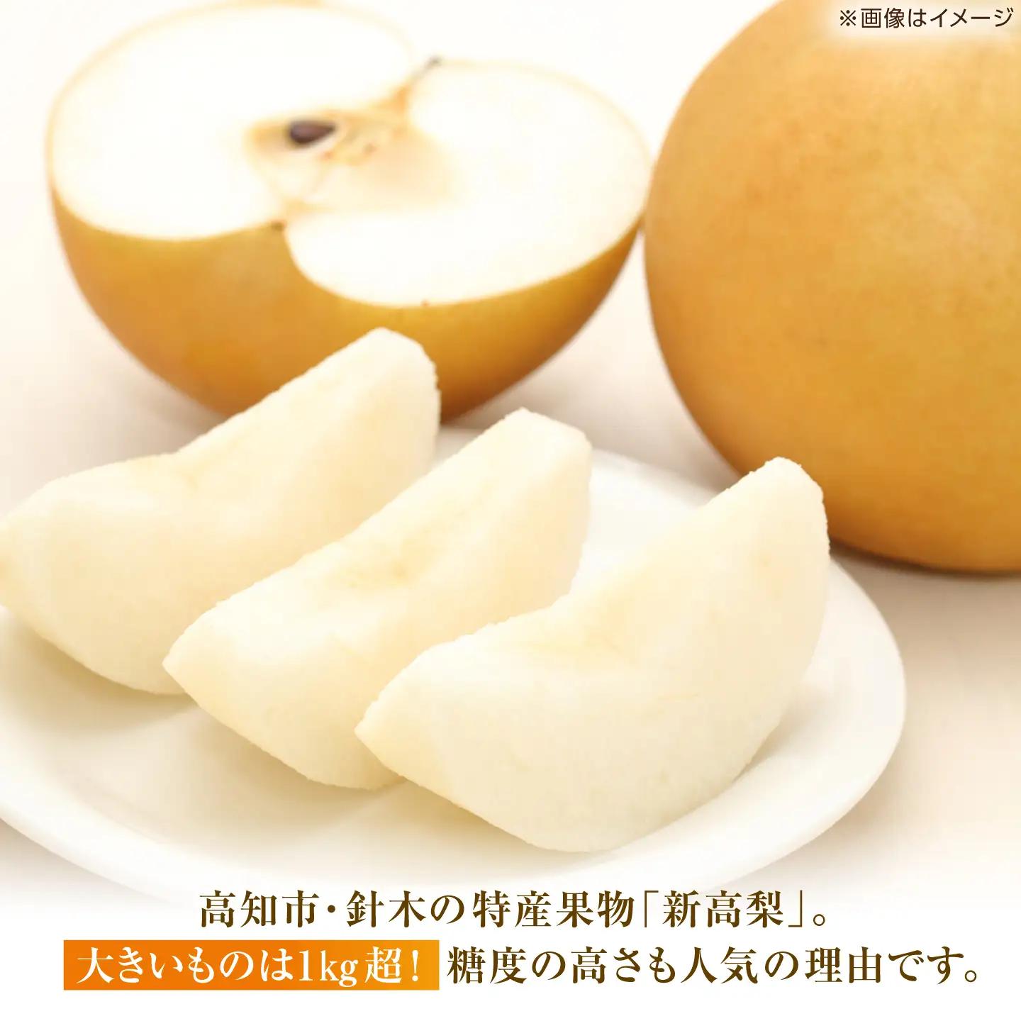 【先行予約】 新高梨 約3kg（5玉）〈2026年9月20日~10月末発送〉 / 高知 新高梨  【川渕果樹園】[ATHX002]