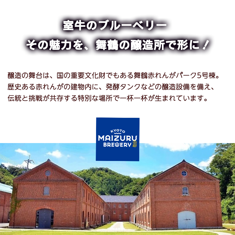 ブルーベリーミライエール 330ml×6本 | ブルーベリー 国産 発泡酒 地ビール クラフトビール フルーツビール 地ビール ブルーベリービール 国産果実 女性向け ギフト 手土産 フルーティー ビ