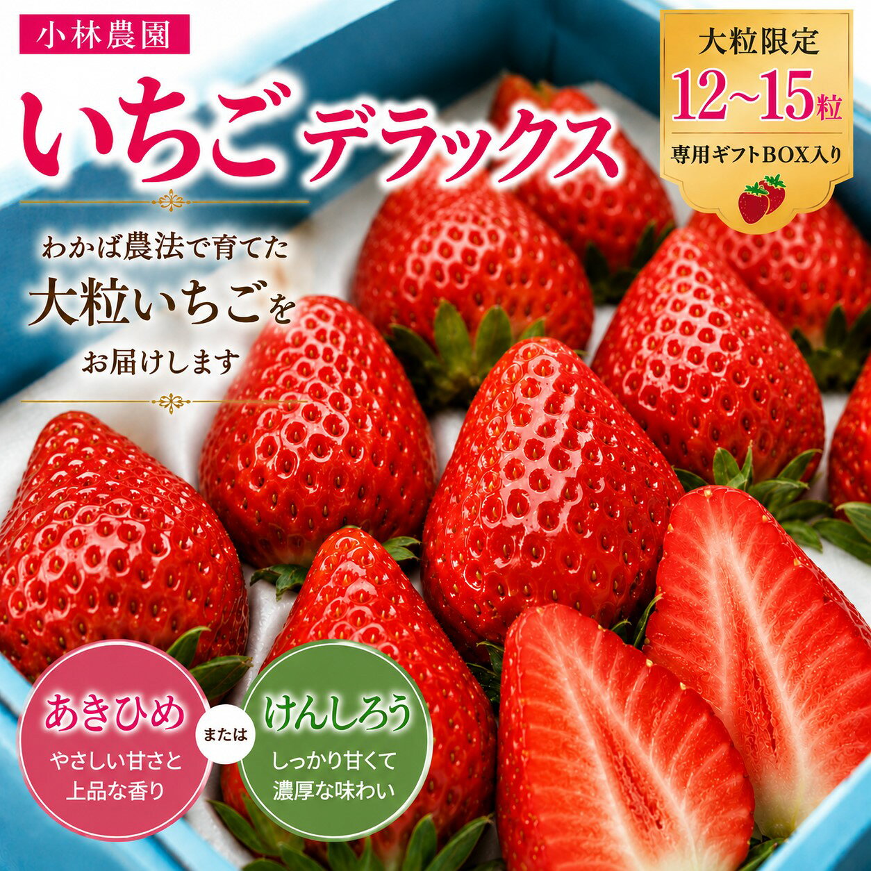 【ふるさと納税】いちご 苺 イチゴ 大粒 デラックスセット 12〜15粒 あきひめ けんしろう 専用ギフトBOX 産地直送 鳥取県 湯梨浜町 小林農園