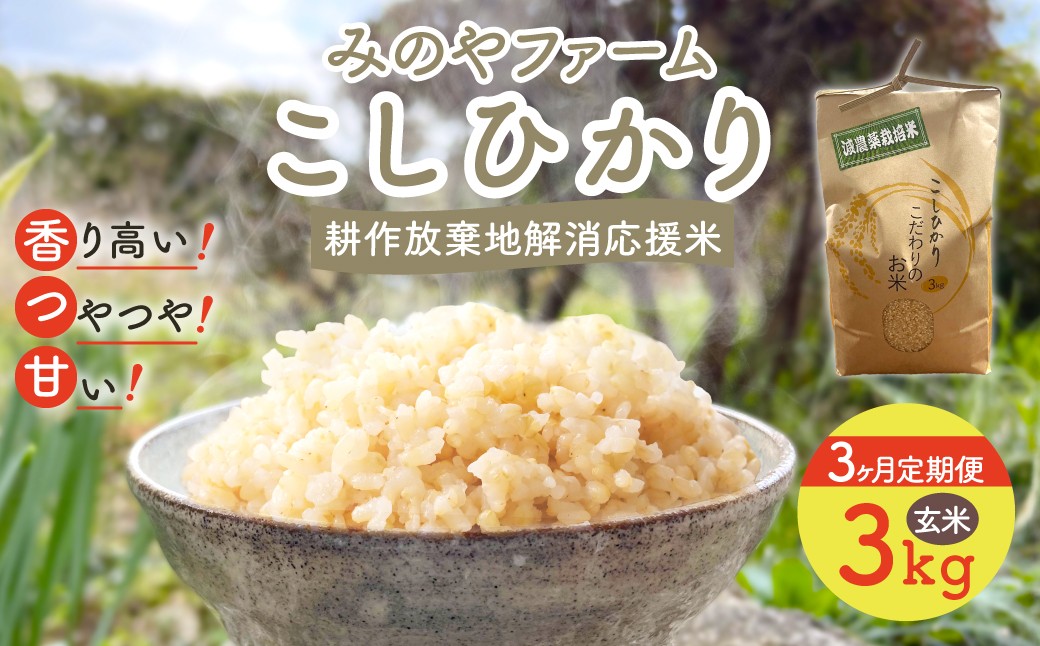 
                  【3ヶ月定期便】令和８年産 新米 こしひかり 3ｋｇ（玄米） みのやファームの耕作放棄地解消応援米  【 コシヒカリ こしひかり おいしいお米 玄米 自然栽培 贈り物 ギフト 千葉県 御宿町 人気 おすすめ ランキング 】 ONJF011
                