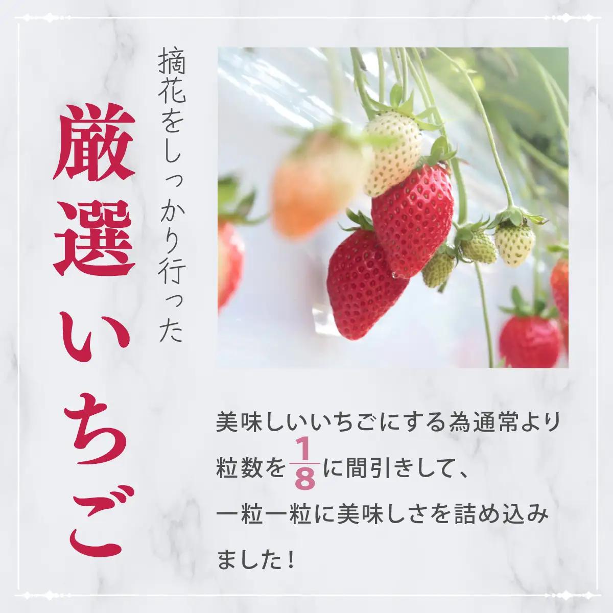 いちご 大粒完熟いちご「やよいひめ」400g