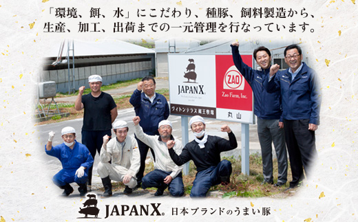 『定期便：10ヶ月』JAPAN X5種と特選仙台牛タン3種 2.4kg【塩・味噌・醤油・ロース・肩ロース・豚バラ・豚モモ・小間】【04160】