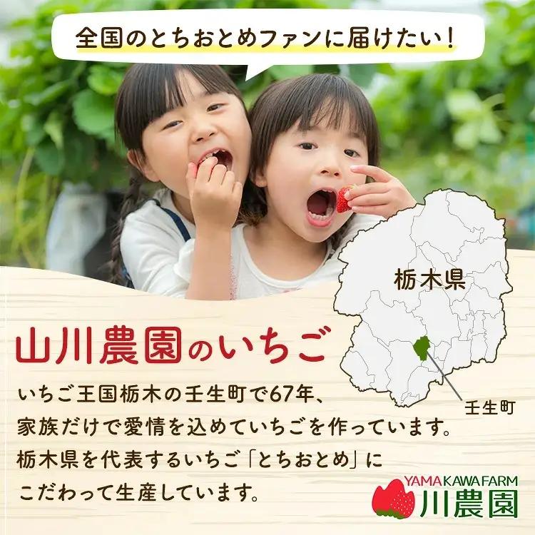 【訳あり】とちおとめ 320g×4パック 約1.2kg グランデサイズ｜果物 フルーツ イチゴ 苺 グランデ 産地直送 大粒 甘い 数量限定 栃木県 壬生町 ※2027年1月～発送