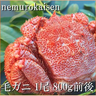ふるさと納税 根室市 【北海道根室産】毛がに800g前後 D-57040