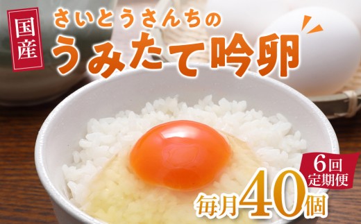 
                  【6回定期便】さいとうさんちのうみたて吟卵　40個入り
                