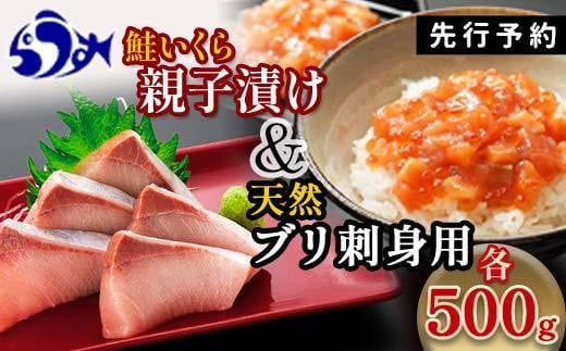【2025年2月発送】【先行予約】親子漬け・ぶり刺身セット1kg（各250g×2）小分け いくら イクラ 秋鮭 さけ サケ 醤油漬け しょうゆ漬け ブリ 鰤 北海道 国産 羅臼 海鮮 魚介 ご飯のお供 生産者 支援 応援