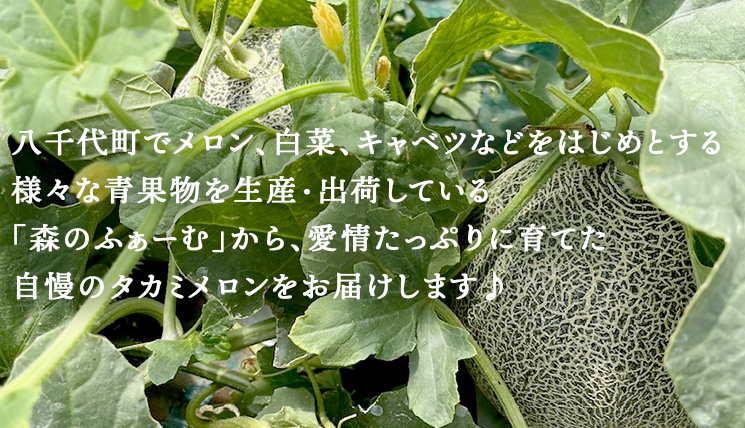 【 先行予約 2024年6月中旬 以降発送】 令和6年産 八千代町産 タカミメロン 優以上 1箱 （ 3 ～ 5玉 入り） 期間限定 産地直送 果物 フルーツ メロン 甘い [CL001ya]