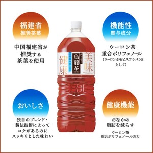 定期便 2ヶ月 サントリー烏龍茶OTPP（機能性表示食品）2L×6本 2箱 ペットボトル