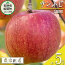 【ふるさと納税】 りんご サンふじ 家庭用 5kg マルハ農園 沖縄県への配送不可 令和6年度収穫分 エコファーマー認定 長野県 飯綱町 〔 信州 果物 フルーツ リンゴ 林檎 長野 13000円 予約 農家直送 〕発送時期：2024年12月上旬～2024年12月下旬