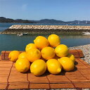 【ふるさと納税】青いレモンの島　レモン約3kg【1092711】