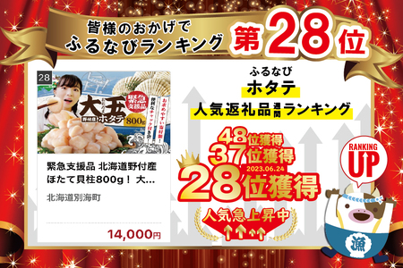 緊急支援品 北海道野付産ほたて貝柱800g！ 大玉20～30玉前後　極寒が育てる凝縮の旨味 be016-1454-202404（ ほたて ホタテ 帆立 貝柱 ホタテ貝柱 北海道 大粒 ふるさと納税 ）