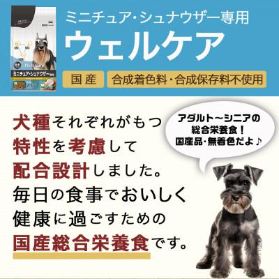 ふるさと納税 都城市 ドッグフード(ミニチュア・シュナウザー専用)アダルト〜シニア2.7kg |  | 01