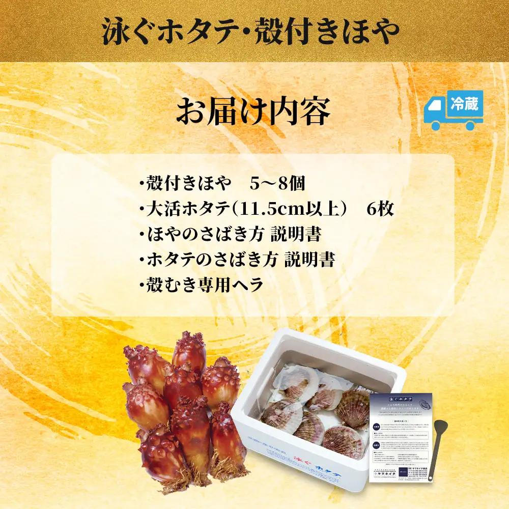fn-39-020 泳ぐホタテ・殻付きほや【5月中旬～7月末頃期間限定 お届け便】ヤマキイチ商店