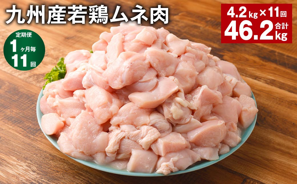 
【1ヶ月毎11回定期便】 九州産若鶏ムネ肉 計約46.2kg（約4.2kg✕11回） 鶏肉 ムネ肉 むね肉
