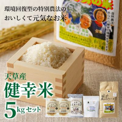 ふるさと納税 天草市 【令和7年産】健幸米5kgセット(コシヒカリ・玄米めんなど)_S067-018A