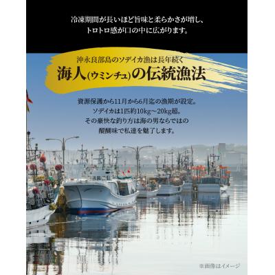 ふるさと納税 和泊町 【サイズ不揃い】ソデイカ・刺身用ブロック　500グラム/沖永良部島特産 |  | 01
