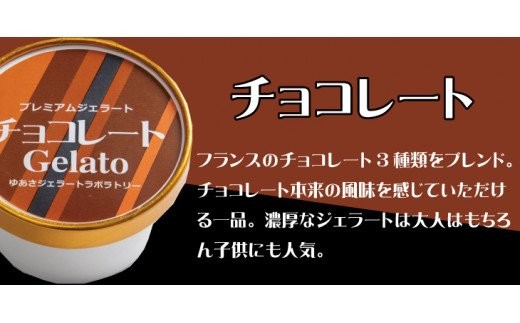 プレミアムジェラート チョコレート12個セット アイスクリームセット 100mlカップ ゆあさジェラートラボラトリー【kztb700-03A】