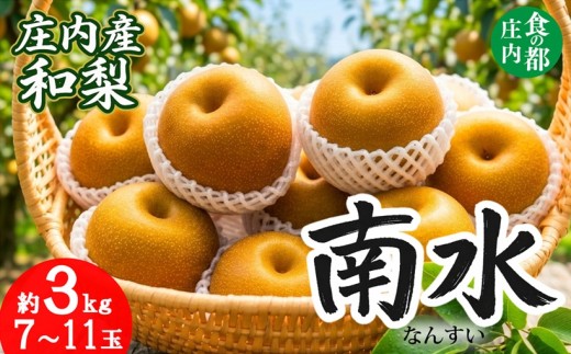 【令和8年産】食の都庄内　庄内産和梨【南水】約3kg　※令和8年9月中旬～10月下旬配送