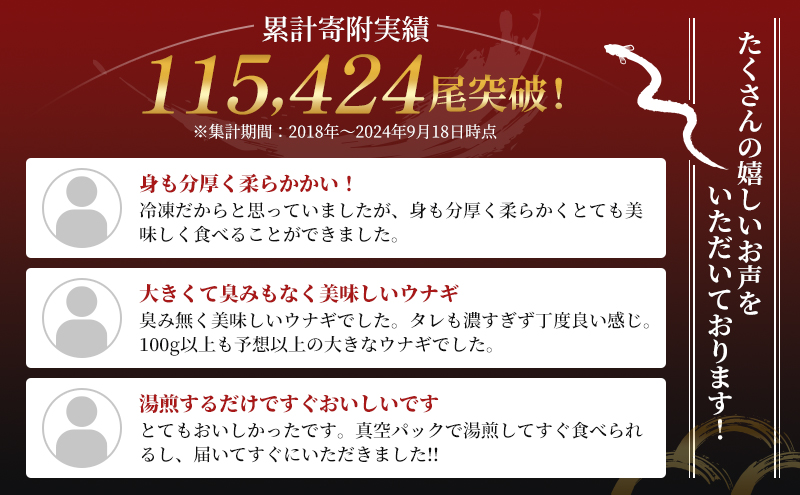 国産うなぎ 浜名湖産 蒲焼き 2尾 (100g以上×2本入) 山椒 たれ セット 詰め合わせ 海老仙 国産ウナギ 国産 うなぎ ウナギ 鰻 うなぎの蒲焼 鰻の蒲焼き 小分け おすすめ 贈答用 ギフト 
