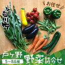 【ふるさと納税】【数量限定】先行予約 戸ヶ野の野菜セット 5〜8種 白川村 白川郷 野菜 品種 お任せ 詰め合わせ 夏野菜 旬 戸ヶ野野菜詰め合わせ　5〜8種セット トマト なす ピーマン ズッキーニ じゃがいも ごぼう 人参 など 大田ファーム 2024年8月〜順次発送 [S695]