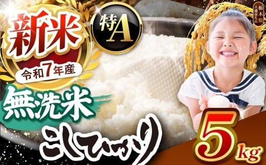 栃木県産コシヒカリ 無洗米 5kg【栃木県共通返礼品】 | お米 米 こめ 洗米 新米 無洗米 コシヒカリ こしひかり 美味しい お弁当 選べる ふるさと 納税 栃木県 矢板市   5kg | 【発送