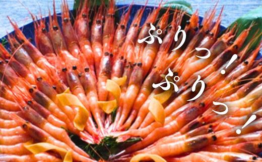 
                  ぷりぷりの浜坂産「あまえび」
                