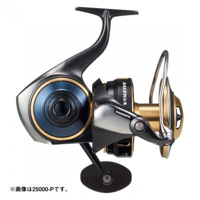 ふるさと納税 東久留米市 【釣具のダイワ】のスピニングリール 25ソルティガ 20000-P |  | 01