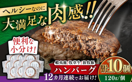 【全12回定期便】【蝦夷鹿×牧草牛×放牧豚】ハンバーグ 10個  鹿肉 牛肉 豚肉 小分け 冷凍 北海道 [AXBP033]