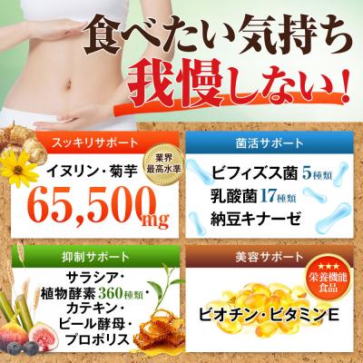 ふるさと納税 名古屋市 ハルクファクター イヌリン 65,500mg 水溶性 食物繊維 大容量 300粒 |  | 03
