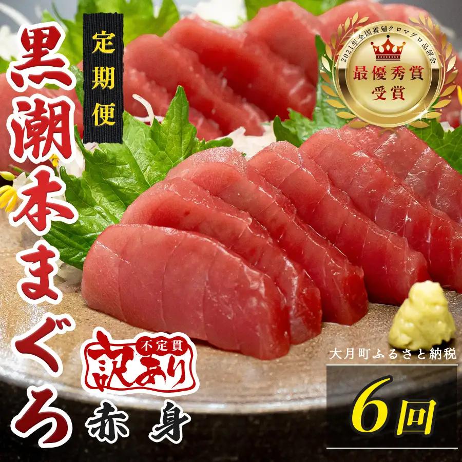 訳あり 不定貫 定期便 6回 高知県産 本マグロ 赤身 養殖 120g (PT0080_0460)