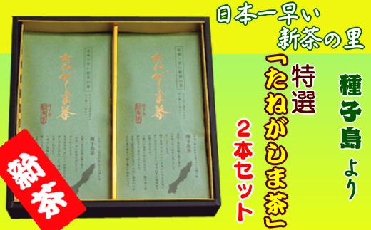 
種子島 松寿園 特選 たねがしま茶 2本　NFN217【300pt】
