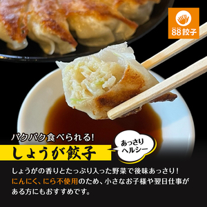 【定期便・3回コース】浜松餃子の88ぱちぱち餃子  80個 幸せな食卓セット【配送不可：離島】