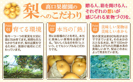 【先行予約】 梨 旬の梨 凜夏 和梨 約 3kg 秋 旬 熊本県 荒尾市産 髙口果樹園《8月中旬-9月上旬頃出荷》フルーツ 果物
