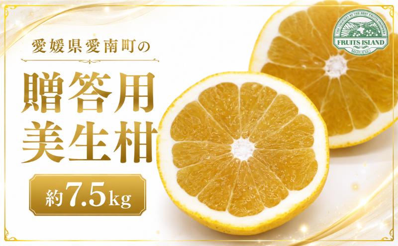 
                  贈答用 美生柑 みしょうかん 約 7.5kg 河内晩柑 贈答 ギフト プレゼント 正規品 ばんかん フルーツ 果物 果実 くだもの 夏文旦 晩生柑 厳選 愛媛 みかん 蜜柑 mikan 愛南 ご当地 ブランド 母の日 国産 産地 直送 ゼリー マーマレード デザート フルーツアイランド マルエム直販 愛媛県 愛南町
                