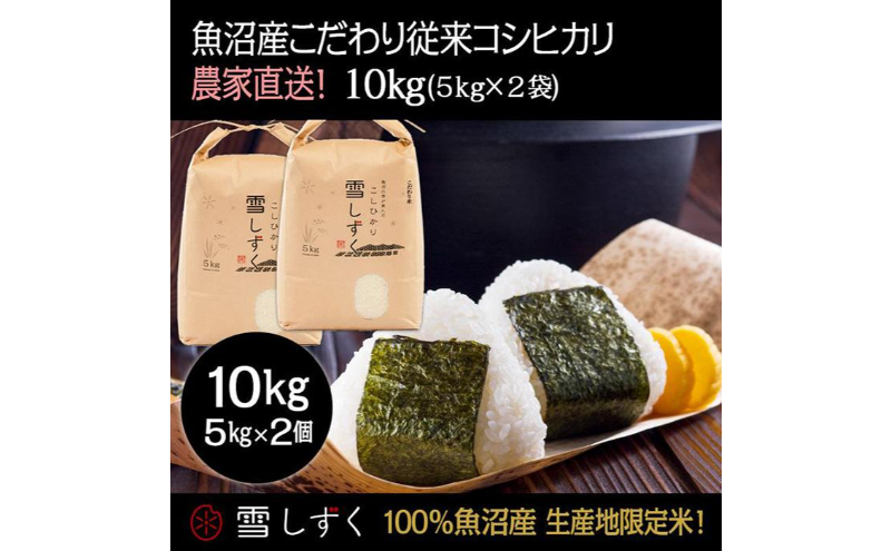 令和7年産！魚沼産こだわり従来コシヒカリ【農家直送!】5kg×2袋 お米 米 コメ 