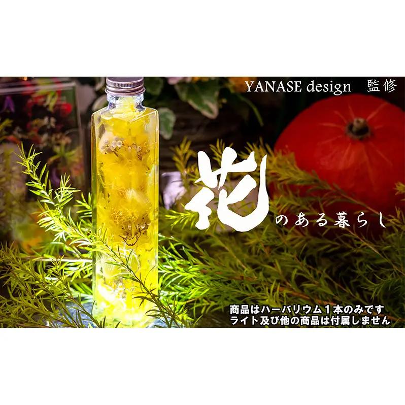 ハーバリウム yellow 花季 黄 ハーバリウムオイル