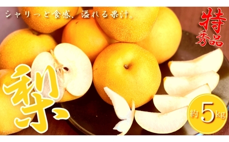 特秀品 丸亀産 梨 約5kg 梨梨梨梨ﾅｼﾅｼﾅｼﾅｼﾅｼ