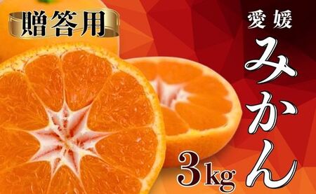 【先行予約】【発送期間：2026年10月～なくなり次第終了】【贈答用】愛媛みかん 3kg みかん