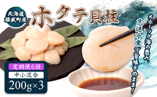 【定期便6回】　北海道雄武町産ほたて貝柱 中小混合 200g×3 (冷凍) 使い切りパック | ふるさと納税 北海道 雄武 ホタテ 帆立 ほたて 小粒 中粒 大粒 200g×3 3.6kg 冷凍 オホーツク オホーツク産 刺身 魚貝 魚介 海鮮 海産 海産物 魚介類 お取り寄せ ワンストップ マイページ 雄武漁業協同組合【07140】