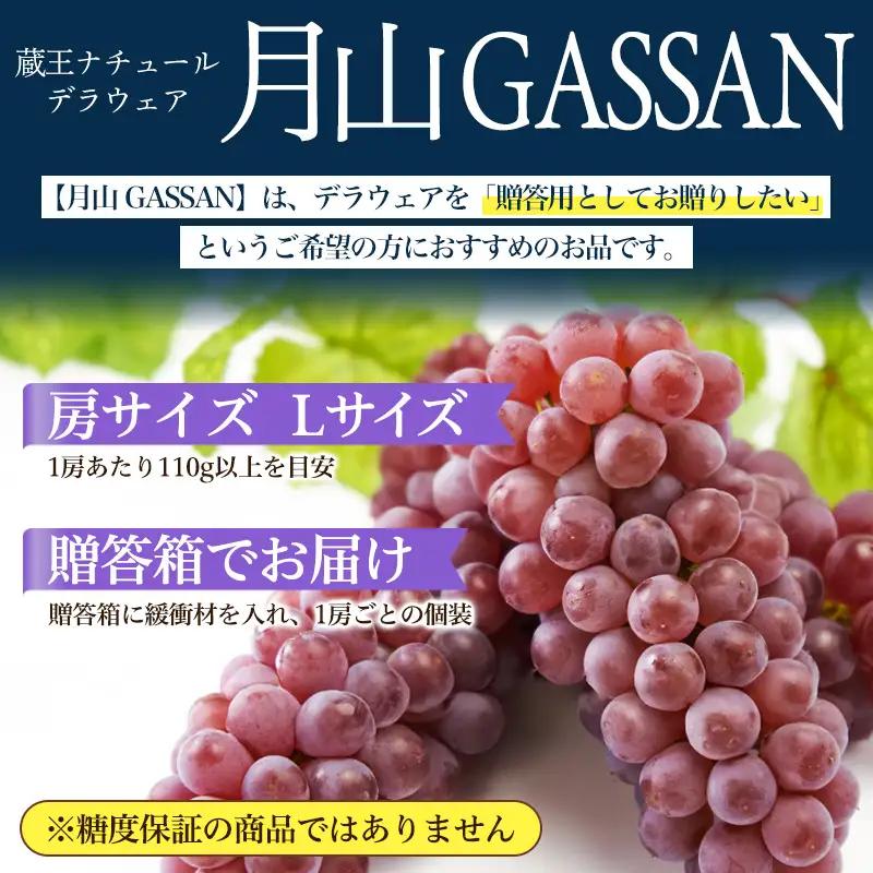 【月山 GASSAN】蔵王ナチュールデラウェア 山形のデラウエア TAKUMI ORCHARD 99% 贈答 L以上 約3kg 山形 山形県 山形市 フルーツ 果物 くだもの 送料無料 ぶどう 葡萄 