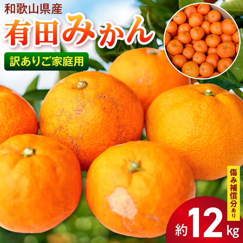 【2026年先行予約】【訳あり ご家庭用】和歌山県産 有田みかん 10kg＋2kg保証分 サイズ混合_EH6100